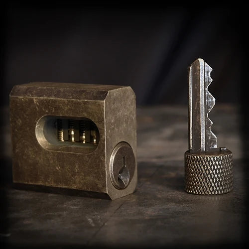 cut away lock pick with check pins